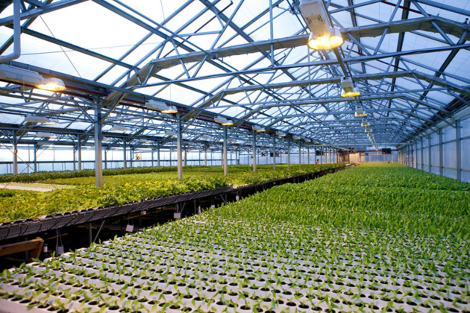 Микро ферма. Урбан фарминг. Modern Greenhouse гидропоника. Urban Farming (городское сельское хозяйство). Многоярусная теплица суперклиматрон.